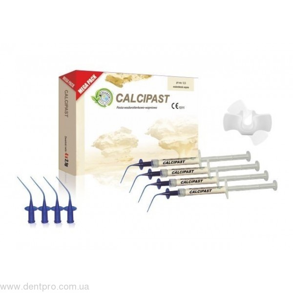 Кальципаст (Calcipaste), паста гидроксид кальция для временного пломбирования корневых каналов, шприц 2.1г - 17372