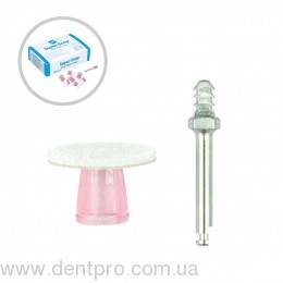 1 штука (1 диск)