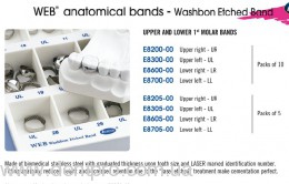 верхняя челюсть Е5101